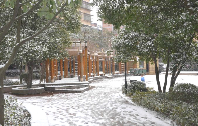 初雪逢周末，多个项目及时展开清理工作