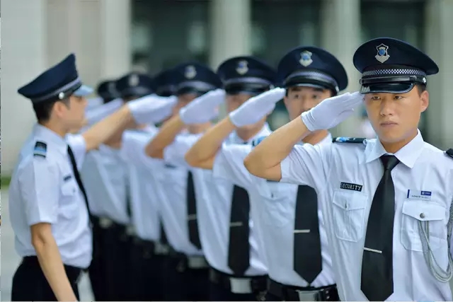 精进专业技能，共护和谐家园