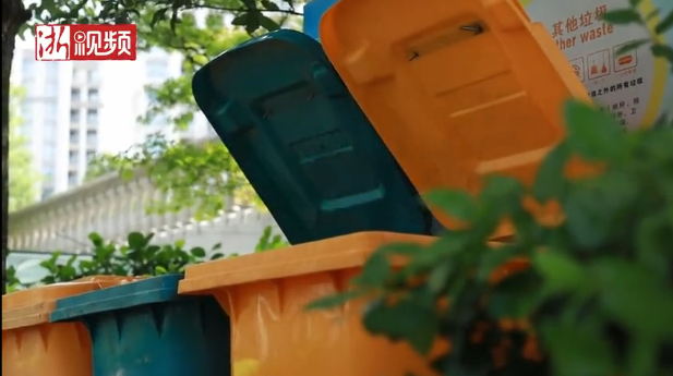 freestyle的垃圾桶，引发多家媒体竞相报道